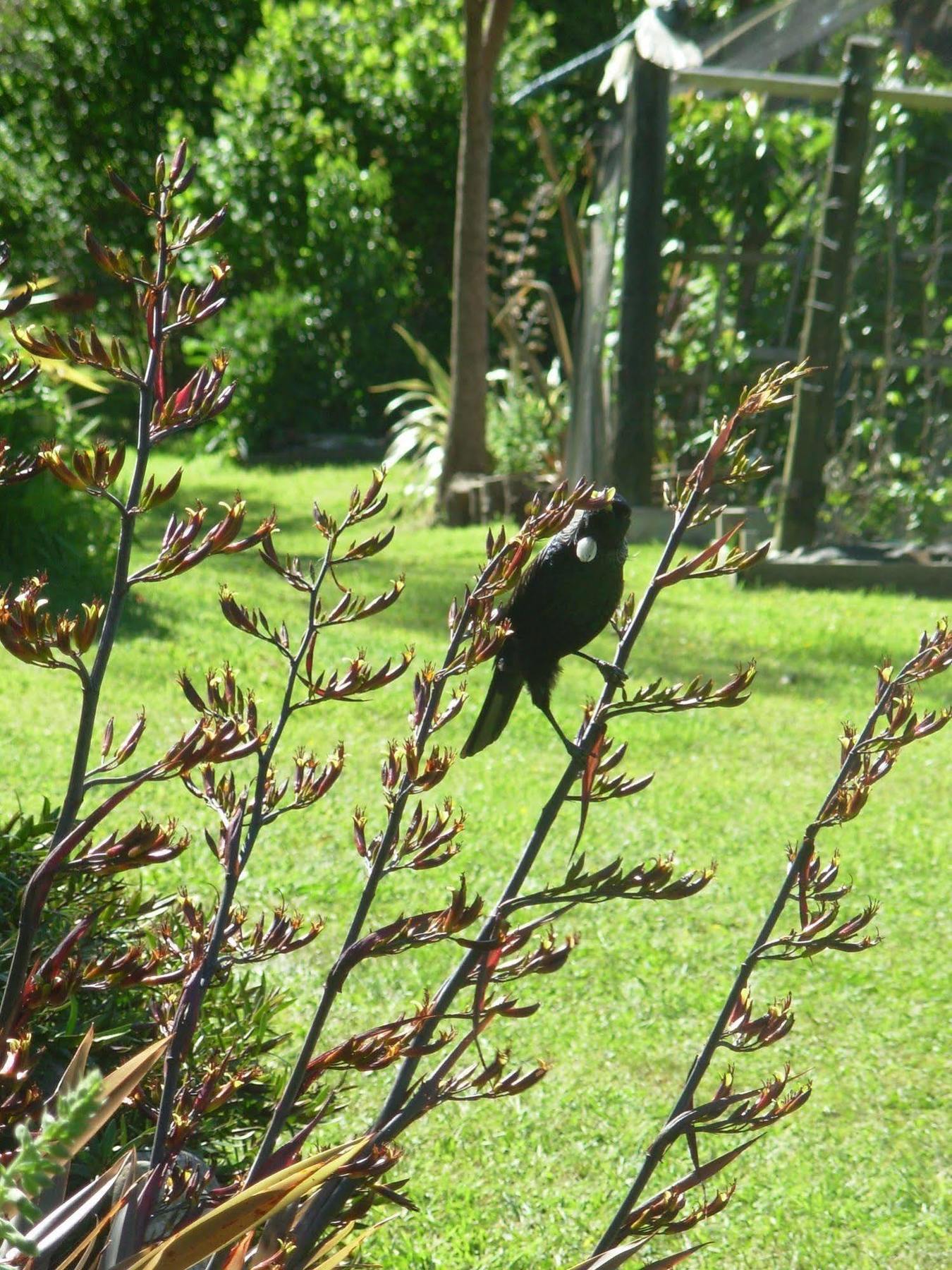 Villa Wetland View Park Anatori Esterno foto